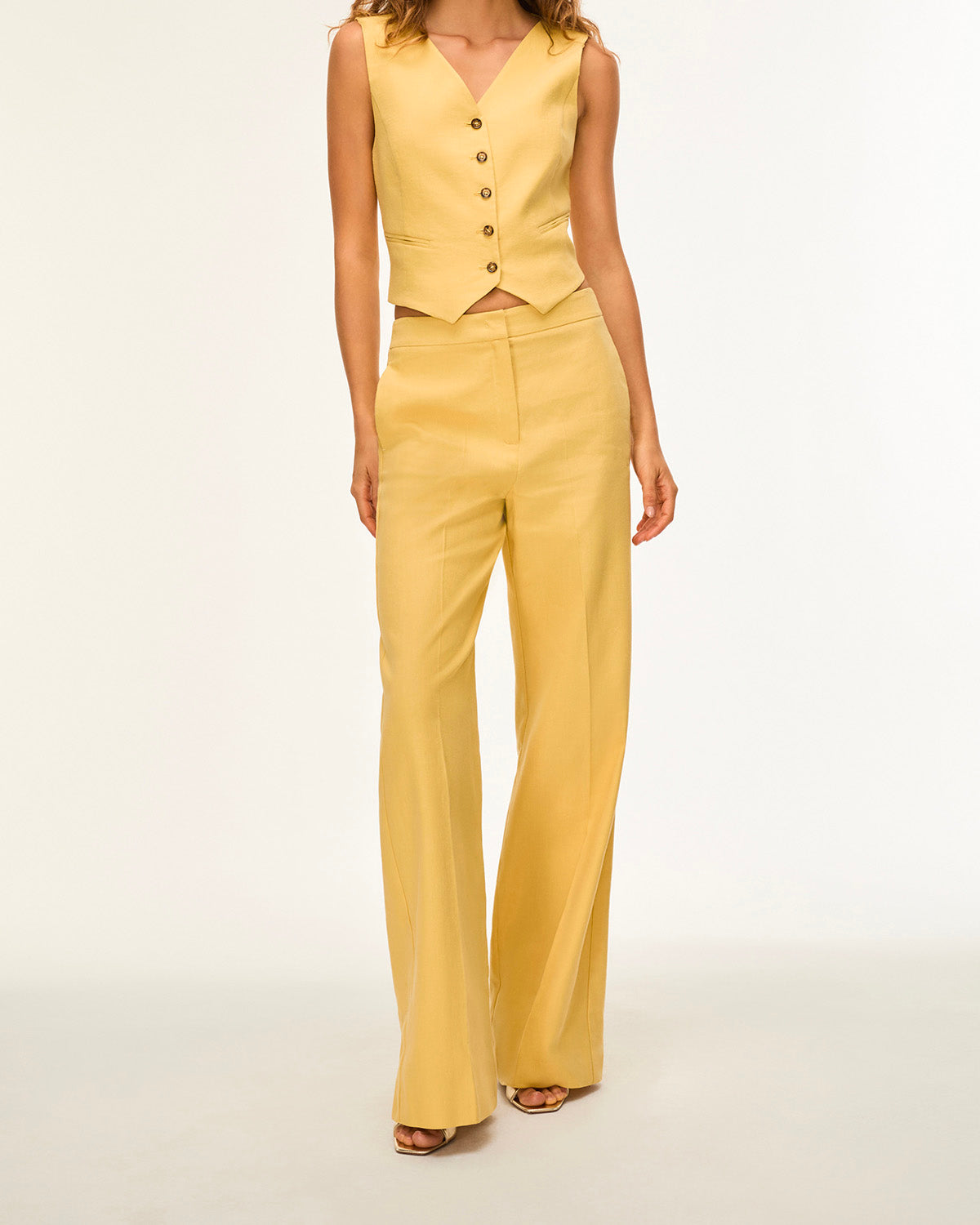 goldenrod-4